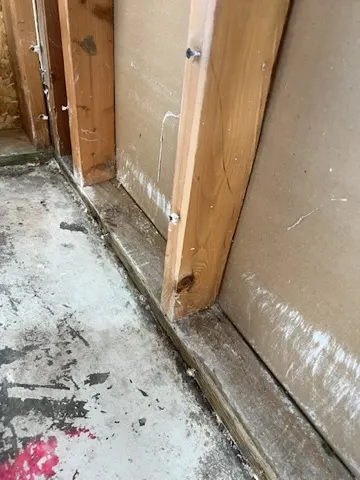 Opened wall cavity and framing during San Jacinto water damage dry-out