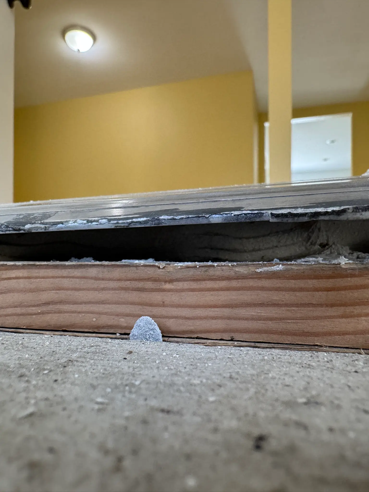 Water damage repair documentation: San Jacinto copper pipe water damage insurance repair support project photos from PL Builders